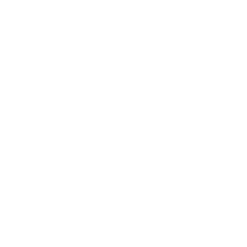 Videos Icon-White